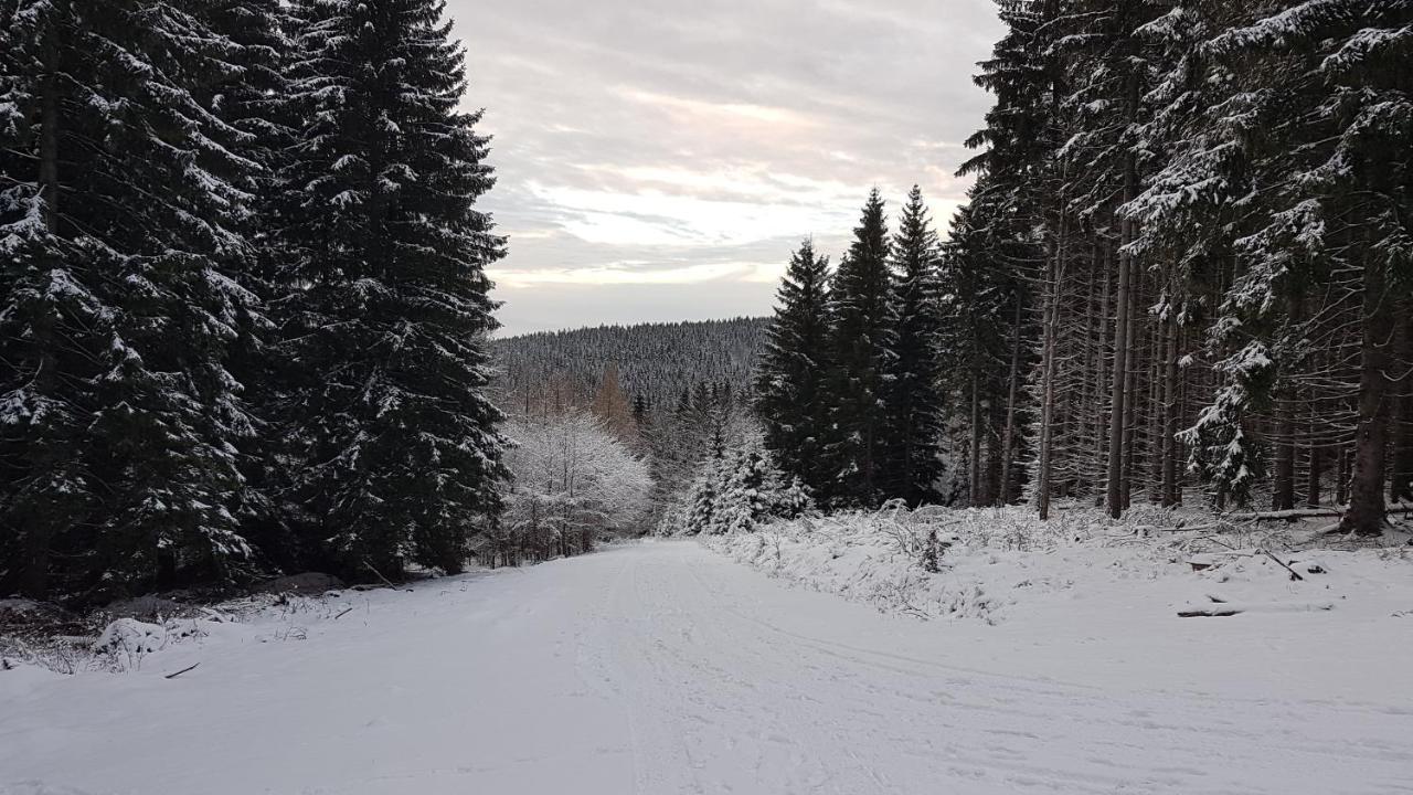 Dom Trzech Braci Vila Lądek-Zdrój Exterior foto