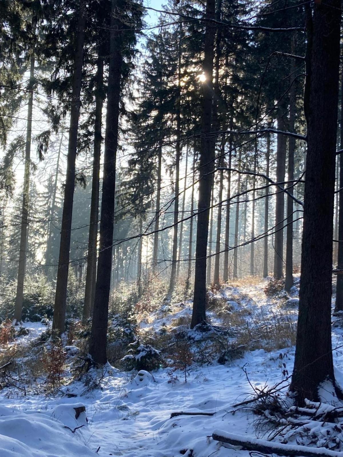 Dom Trzech Braci Vila Lądek-Zdrój Exterior foto